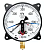Манометр электроконтактный ДМ2005Ф (0-600КПа)